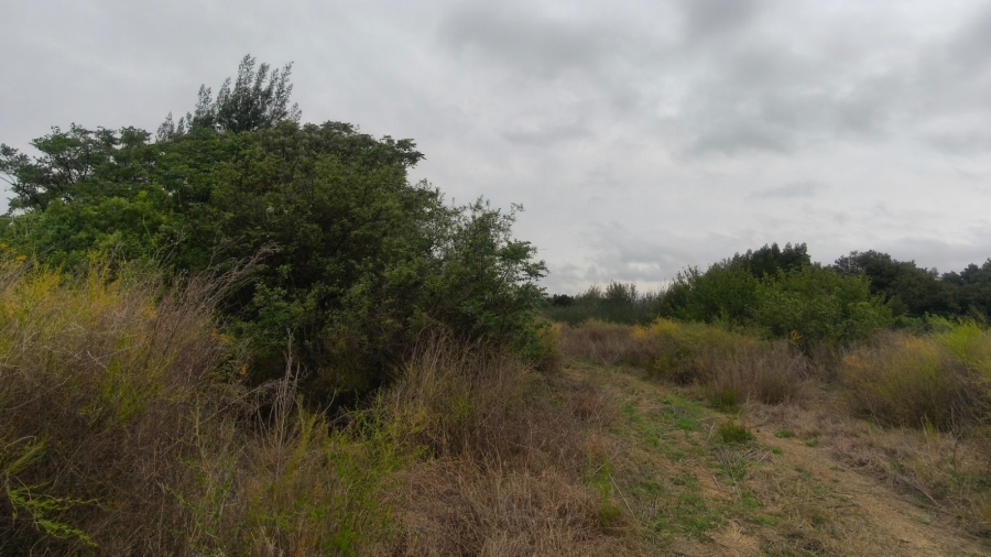 0 Bedroom Property for Sale in Koster North West